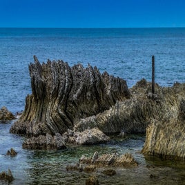 kaikoura_2-standard.jpg