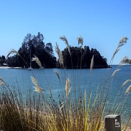 kaiteriteri-02-standard.jpg
