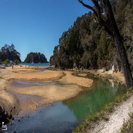 kaiteriteri-07-standard.jpg