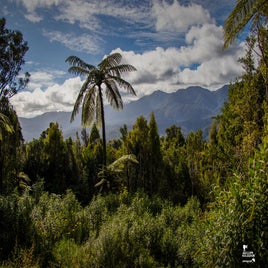 karamea-06-standard.jpg