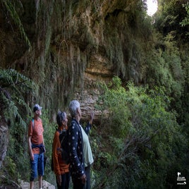 karamea-15-standard.jpg
