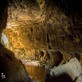 karamea-19-standard.jpg