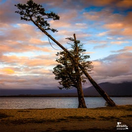 lake-bruner-16-standard.jpg