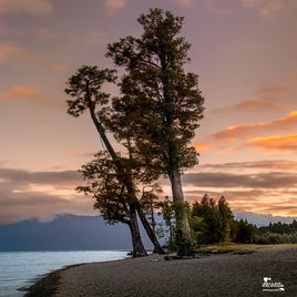 lake-bruner-19-standard.jpg