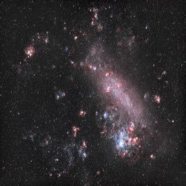 The Large Magellanic Cloud