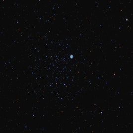 m46-standard.jpg