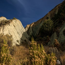 marfells-beach-01-standard.jpg