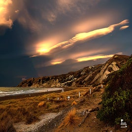 marfells-beach-03-standard.jpg
