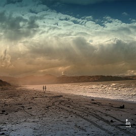 marfells-beach-05-standard.jpg