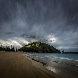 matauri-standard.jpg