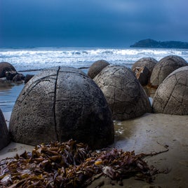 moeraki_2-standard.jpg