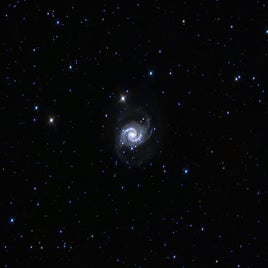 ngc-1566-standard.jpg