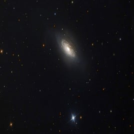 ngc-3521-standard.jpg