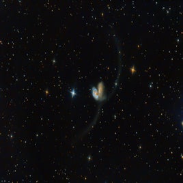 ngc-4038-standard.jpg