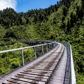 old-hapuawhenua-viaduct-standard.jpg