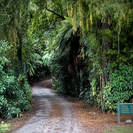 pelorus-bridge-01-standard.jpg