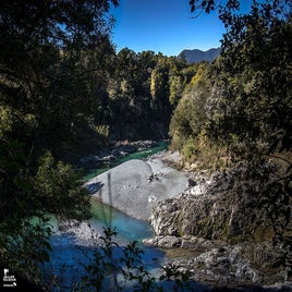 pelorus-bridge-14-standard.jpg