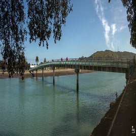 raglan_footbridge-standard.jpg