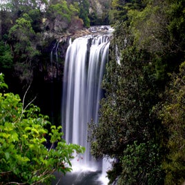 rainbow_falls2-standard.jpg