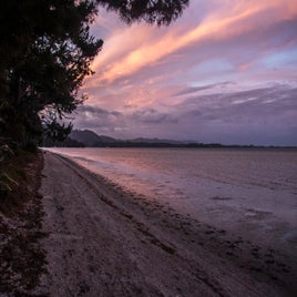 sunset-on-the-estuary-standard.jpg