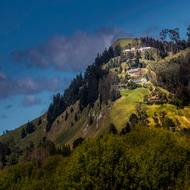 temata-peak-standard.jpg
