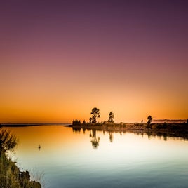 wairau-standard.jpg
