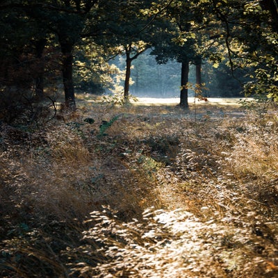 omgeving-2.jpg