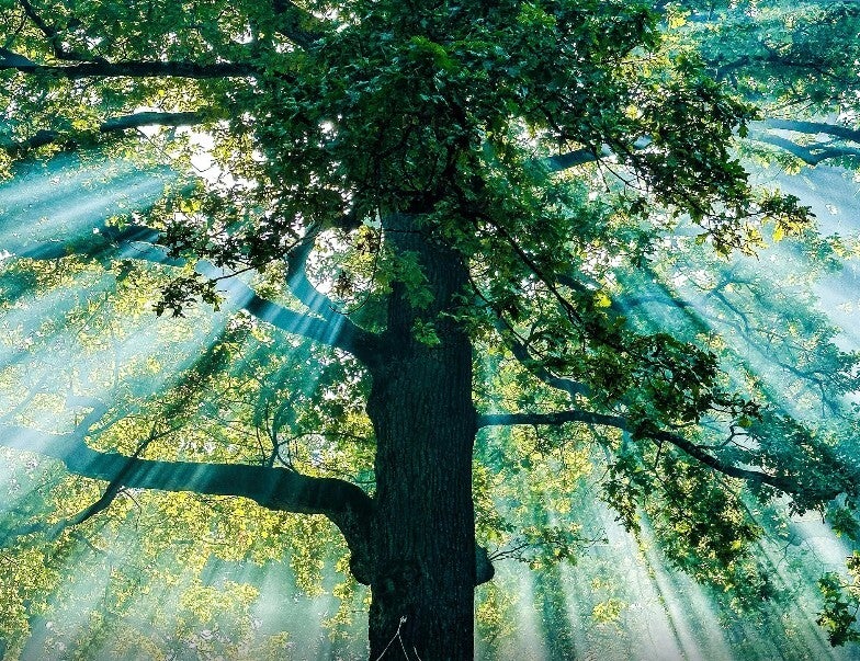 Module 3: Energie & Belastbaarheid