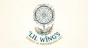 Little Wings School of Performance Art