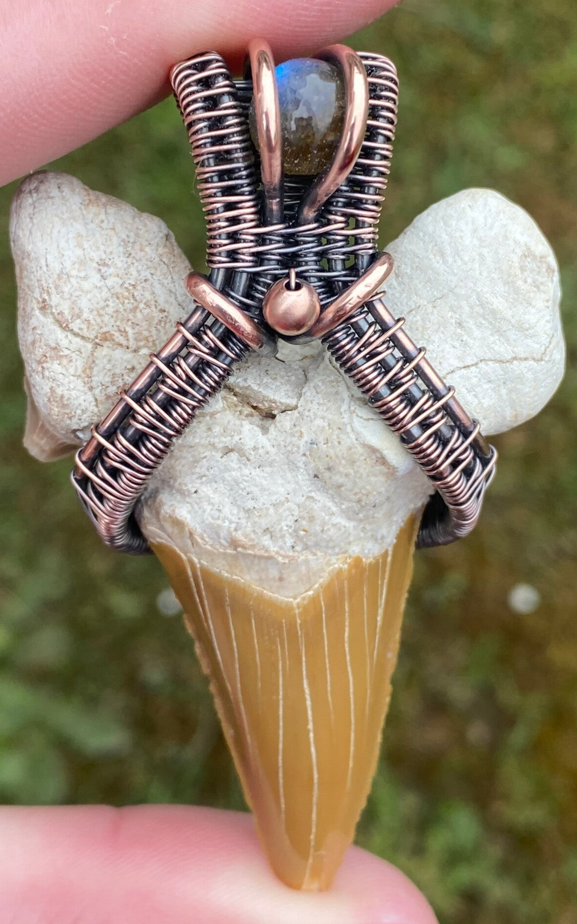Shark Tooth Fossil Pendant with Labradorite.🦈