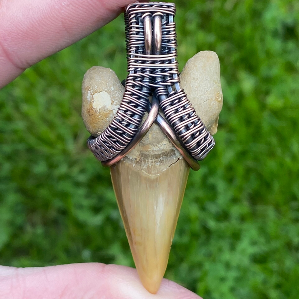 🦈 Shark Tooth — Strength & Protection Pendant.