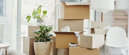 packed boxes and staff