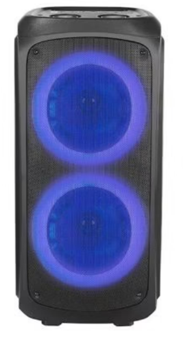 Enceinte Edenwood Party 250
