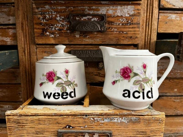 Sugar Bowl and Creamer Set