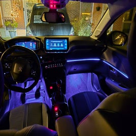 20241229_185148-standard-jvlxs9.jpg