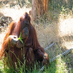 dsc_13123.jpg