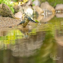 dsc_25603.jpg