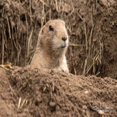 dsc_81763.jpg