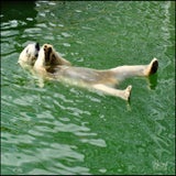 Afbeelding2-3.jpg