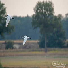 dsc_37962.jpg