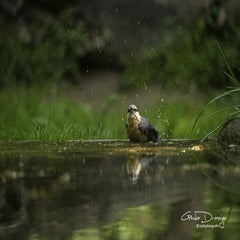 dsc_11152.jpg