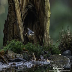 dsc_66672.jpg
