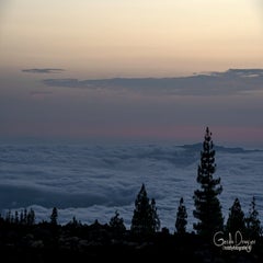 dsc_45683.jpg