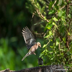 dsc_41872.jpg