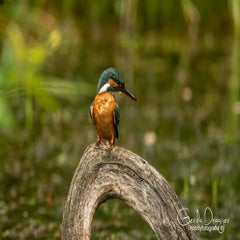 dsc_32052.jpg