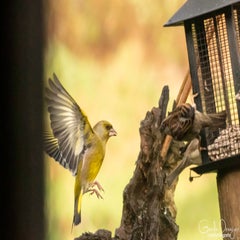 dsc_27132.jpg