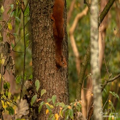 dsc_83202.jpg