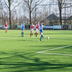 dsc_99332.jpg