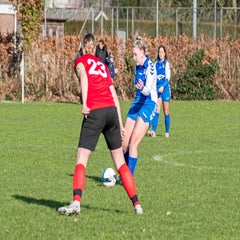 dsc_31582.jpg