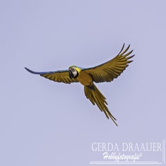 dsc_53262.jpg